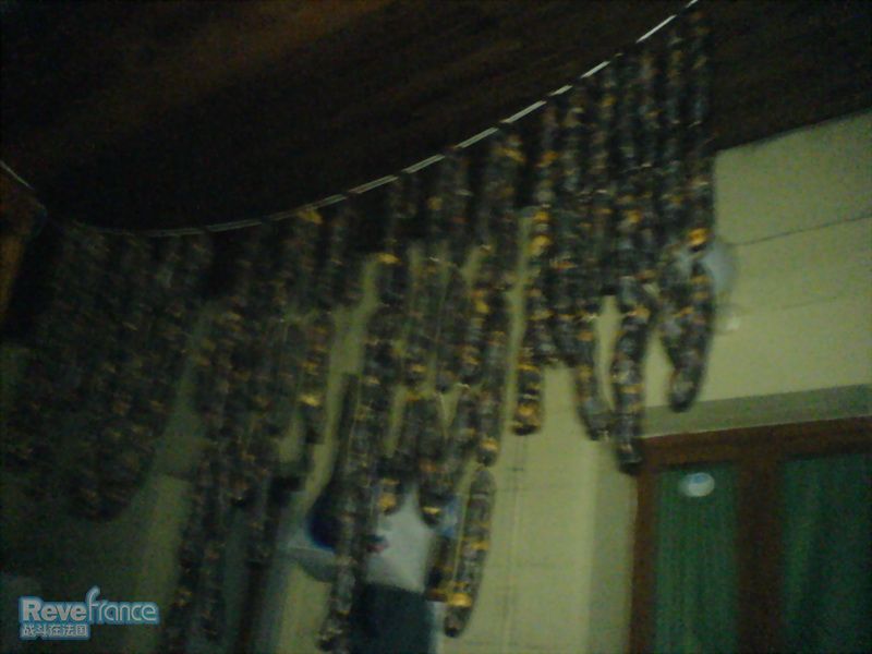 DSC00601.JPG