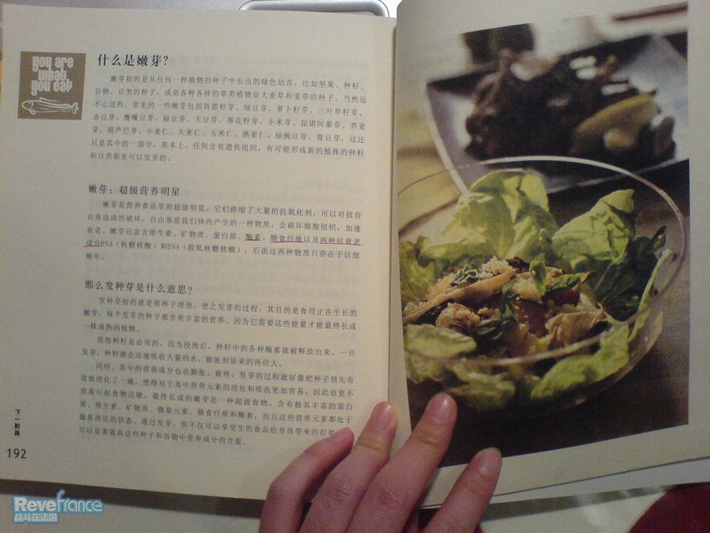 DSC00722.JPG
