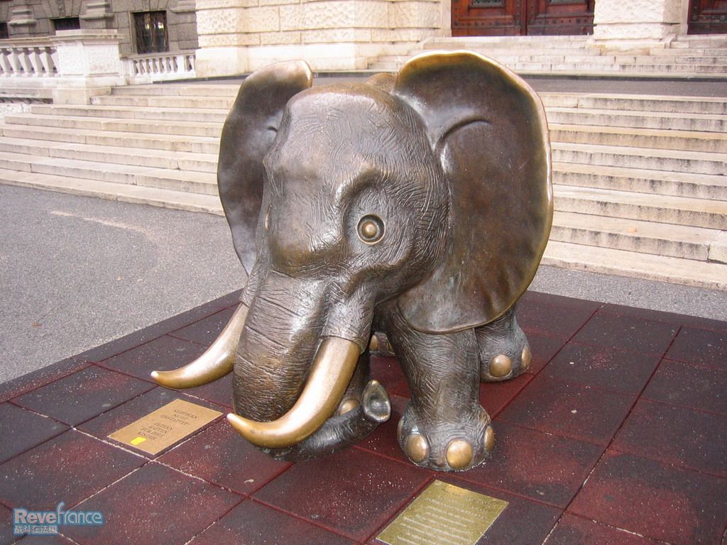 自然博物馆门口的超可爱小象.jpg