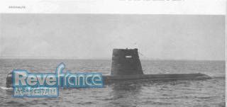 Argonaute-s.jpg