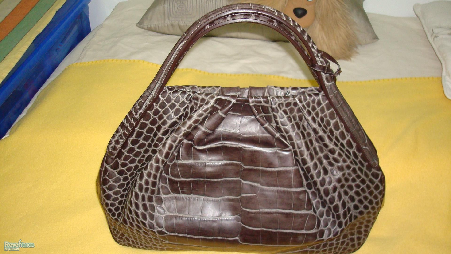 Armani鳄鱼皮包.JPG