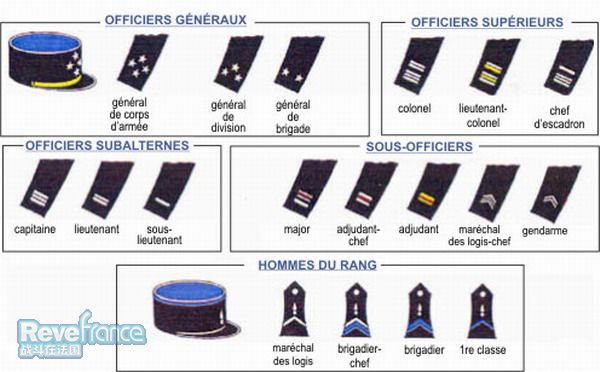 grades-gend.jpg
