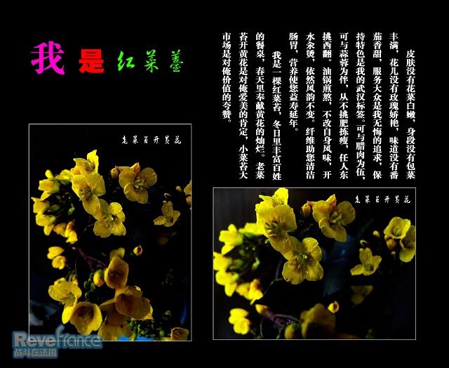 红菜薹－640.jpg