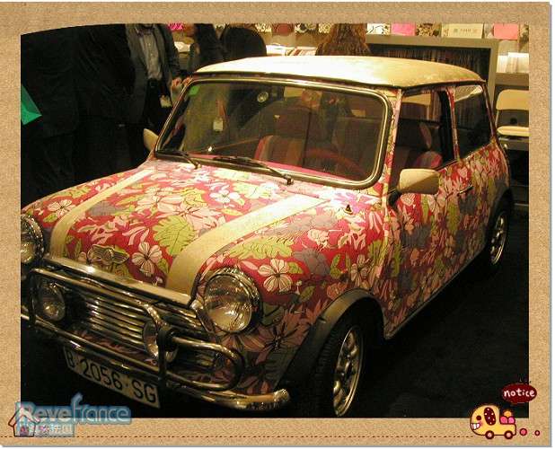 mini1-2.jpg