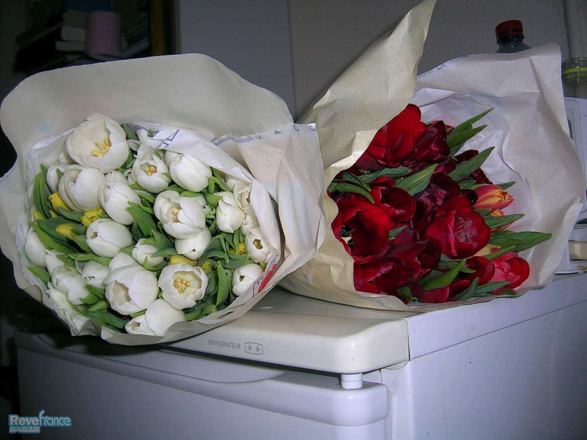 DSCN3572.JPG