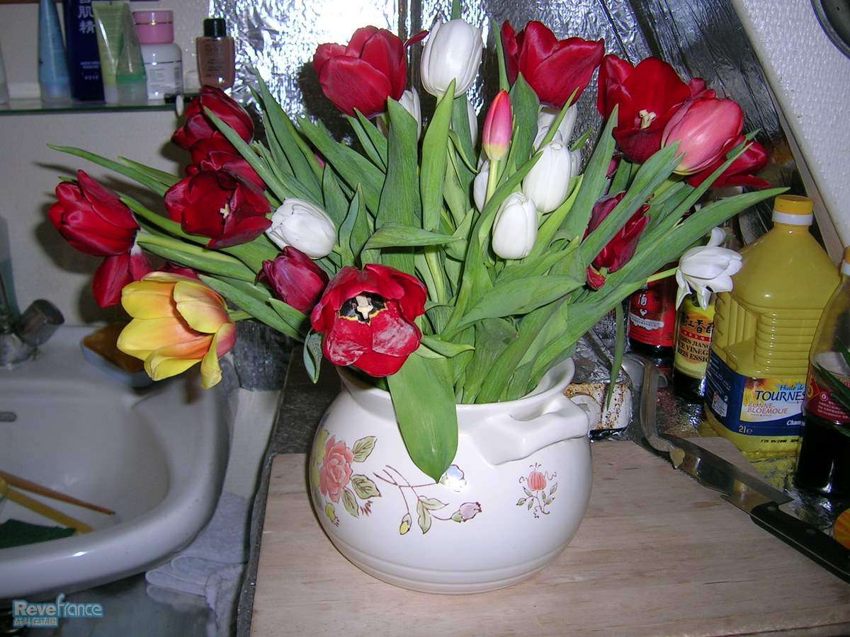 DSCN3580.JPG