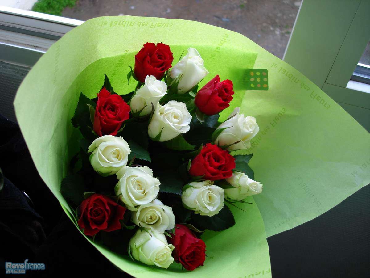 DSC00108.JPG