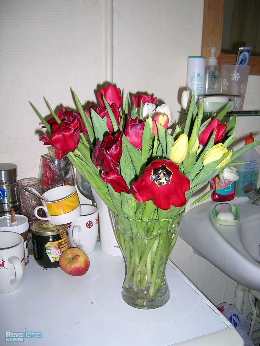 DSCN3578.JPG