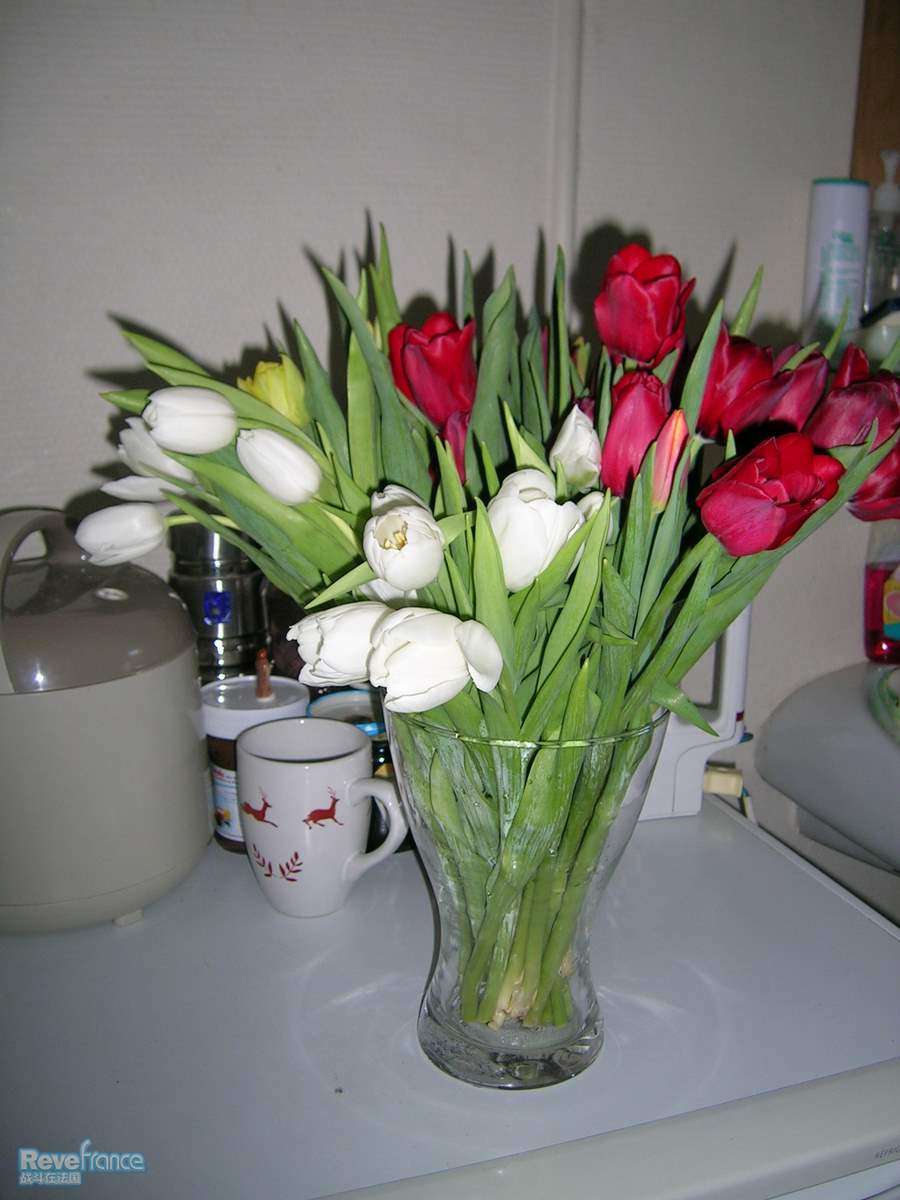 DSCN3576.JPG