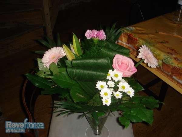 DSC01370.JPG