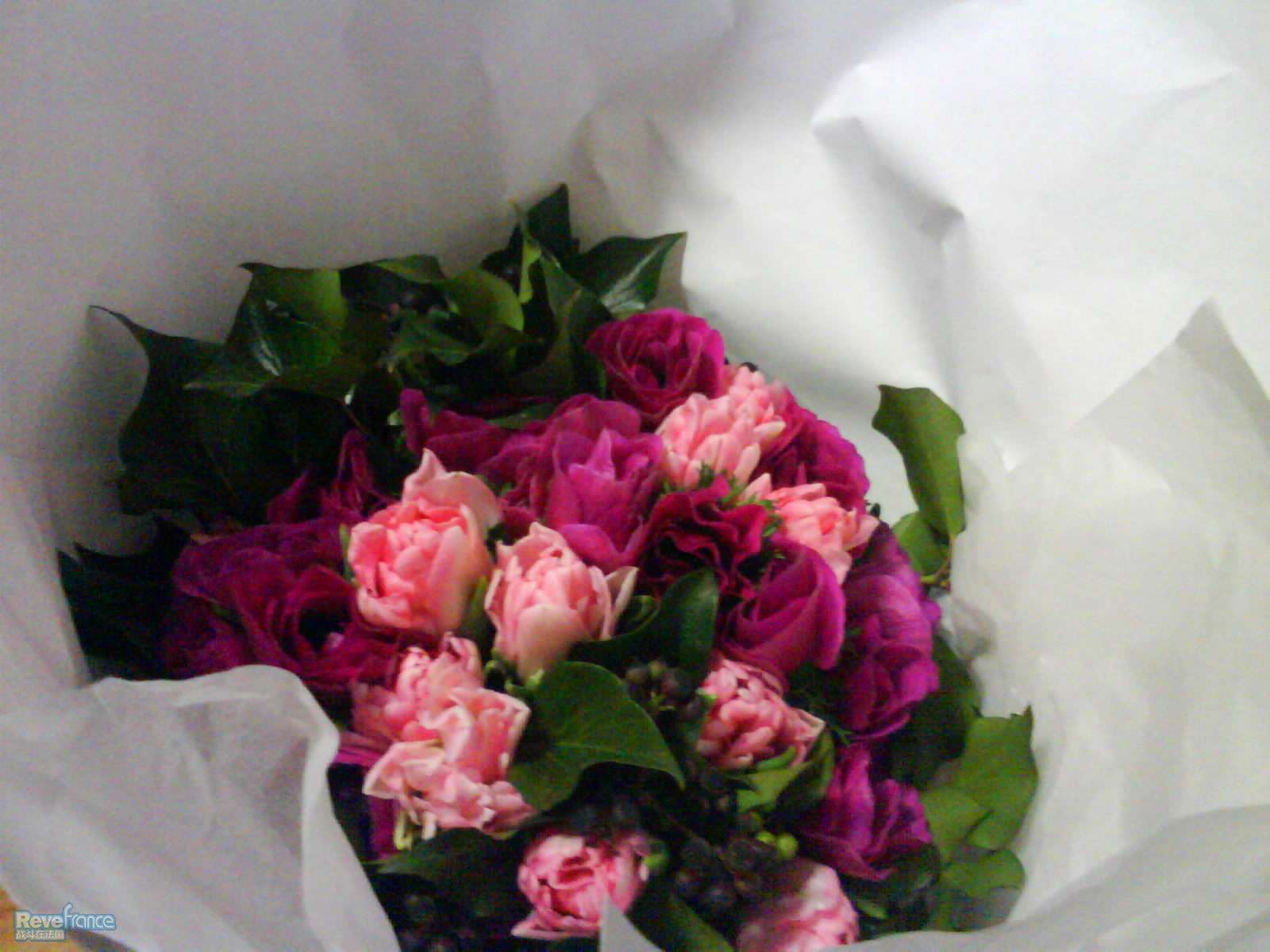 DSC00045_1.JPG