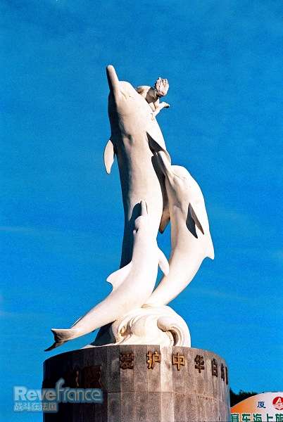 白海豚.jpg
