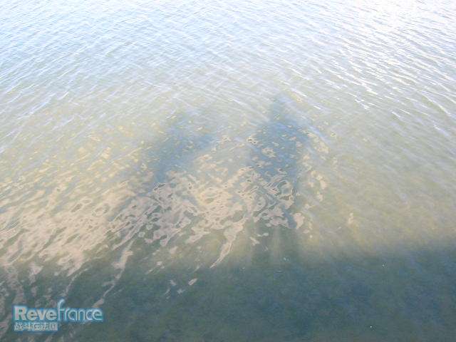 DSCN1783.JPG