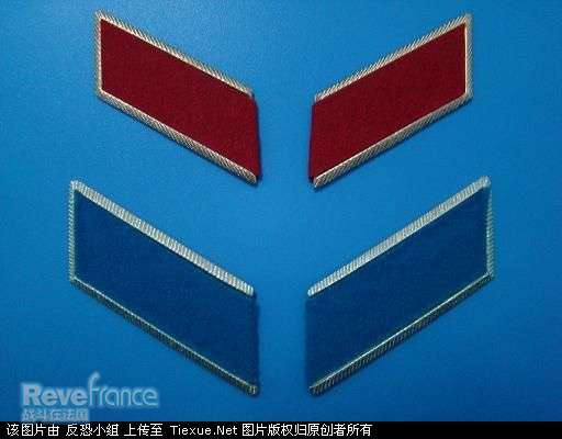 俄罗斯部队陆、空军领章（金属底板）.jpg