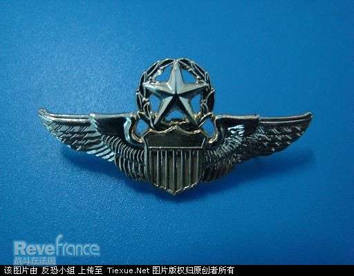 美国空军飞行胸章.jpg