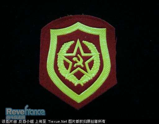 前苏联军队的几枚臂章-陆军.jpg