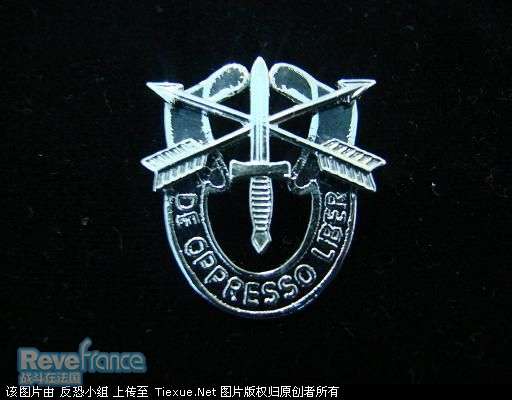 美军特种兵帽微.jpg