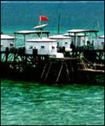 meiji_jiao2.jpg