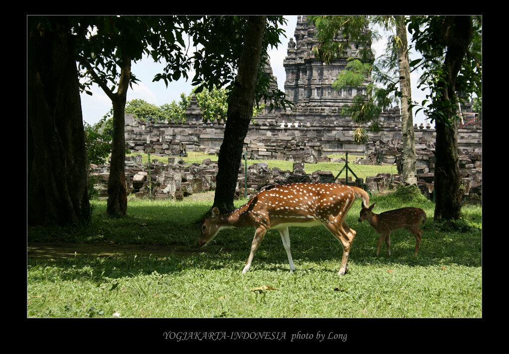 yogjakarta12prambanan.jpg