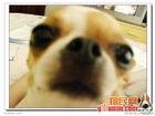 u=917248928,2116962089&fm=0&gp=40.jpg