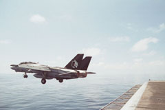 VF-154 “黑武士”中队 (16).JPG