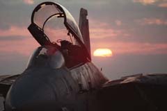 VF-154 “黑武士”中队 (5).JPG