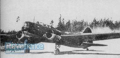 DB-3.jpg