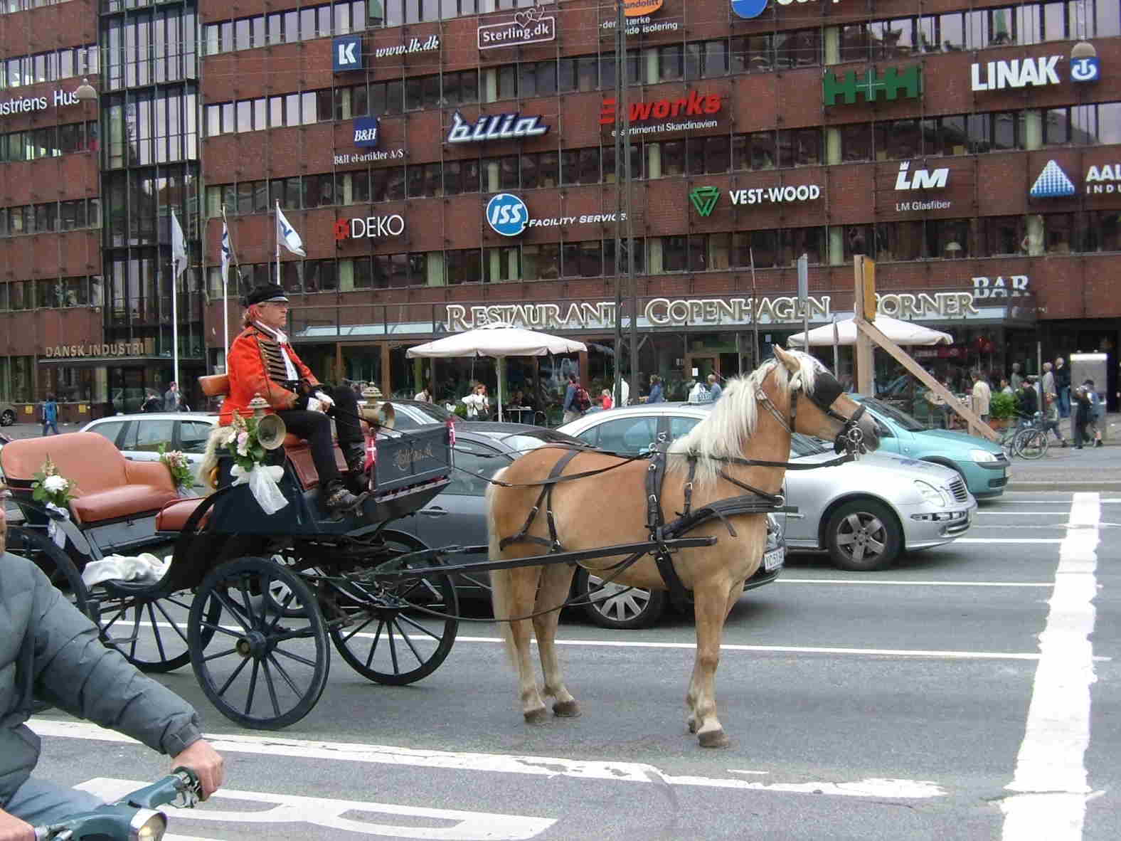 这马神了~~蒙着眼还能跑~~