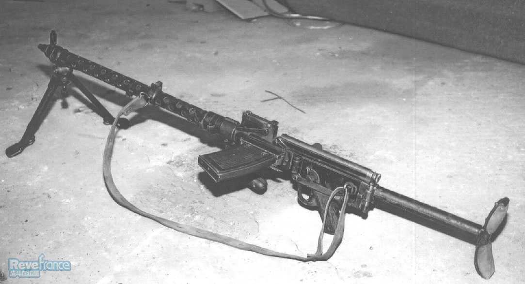 mg13.jpg