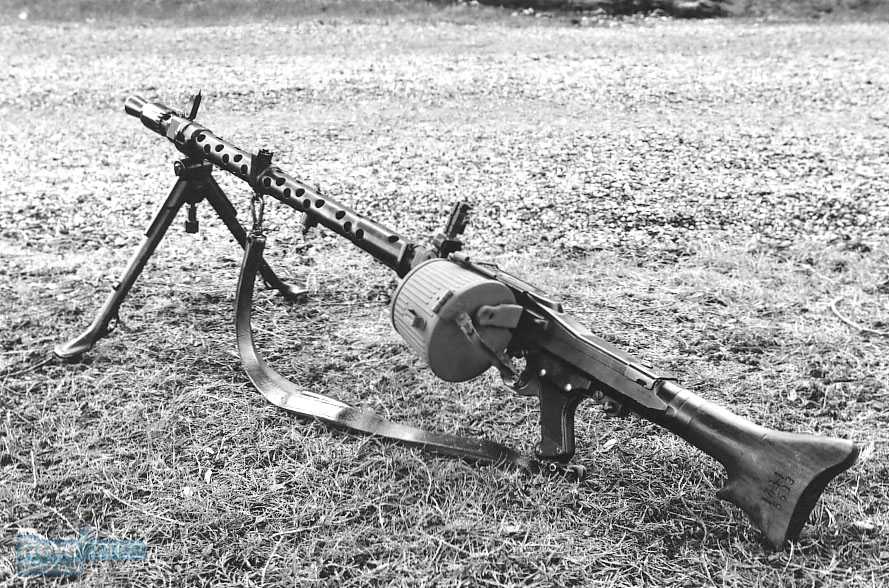 mg341.jpg