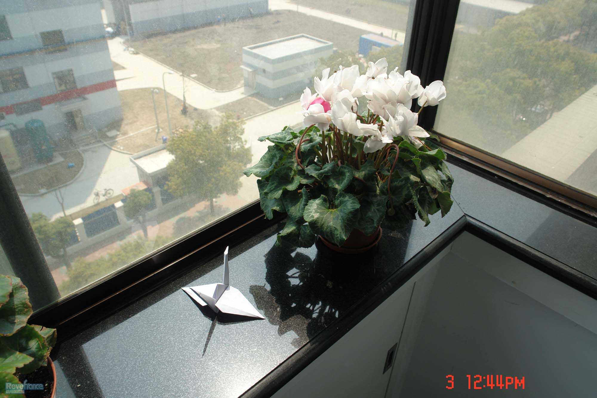 DSC03904-3.jpg