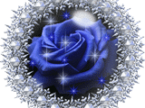 {C8BB724E-1FA6-11D9-AFBC-00E04C40CF44}0.gif