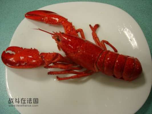 清蒸龙虾