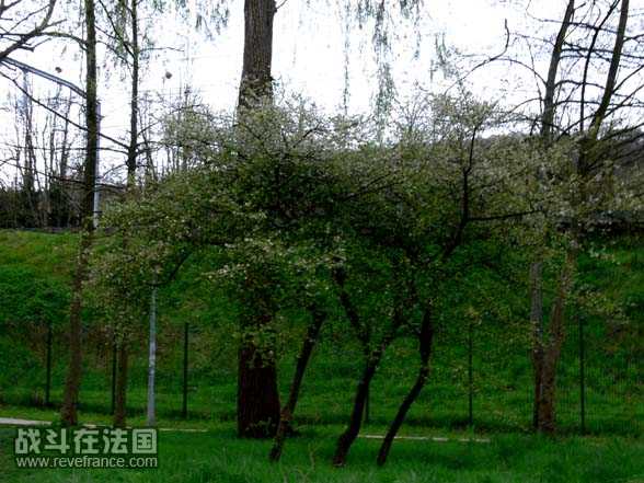 照片 115.jpg