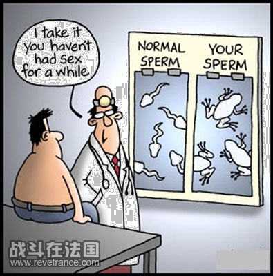 sperm-cartoon[1].jpg