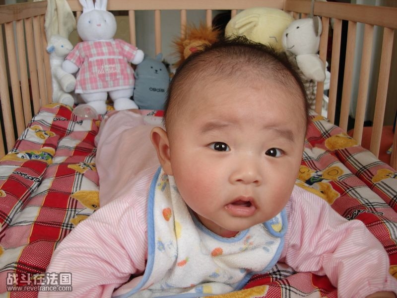 不要拍我