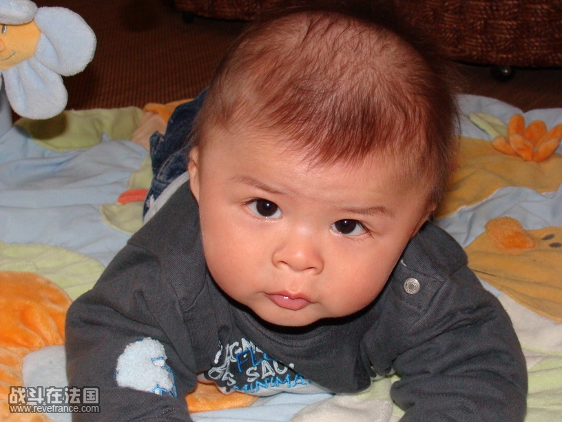 DSC00457_resize.JPG
