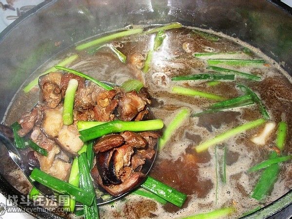 水锅狗肉.jpg