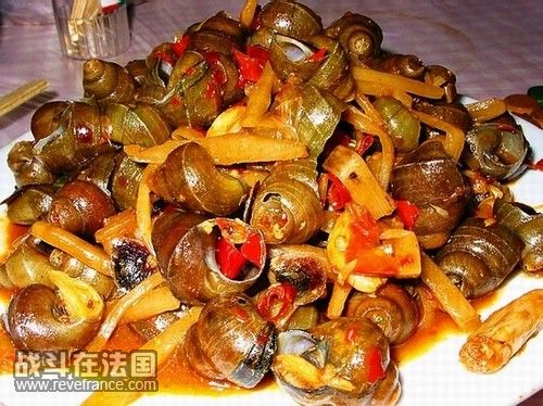 爆炒螺狮.jpg