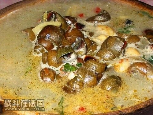 螺狮煲.jpg