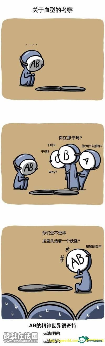 ABCD11.jpg