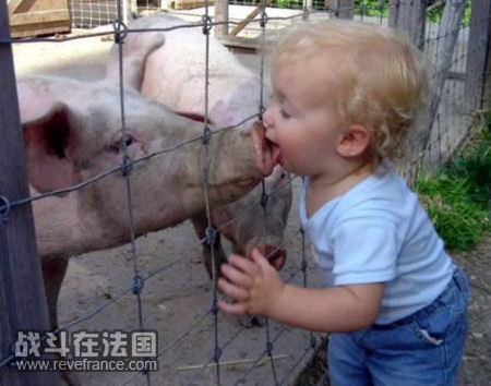 kid_pig_kiss.jpg