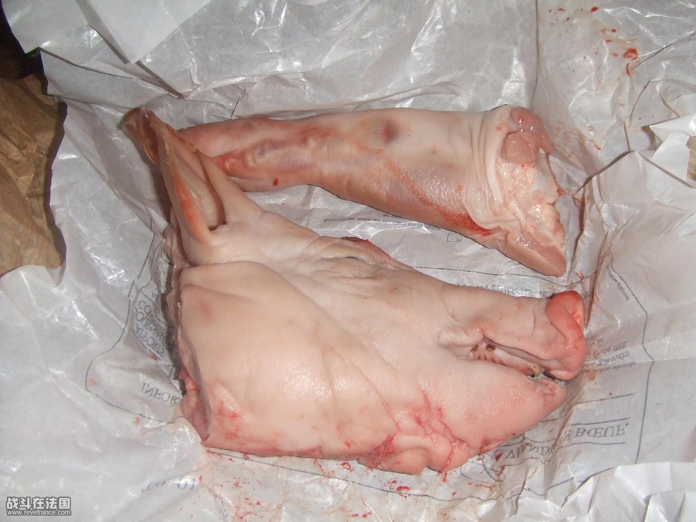 DSCF4255.JPG