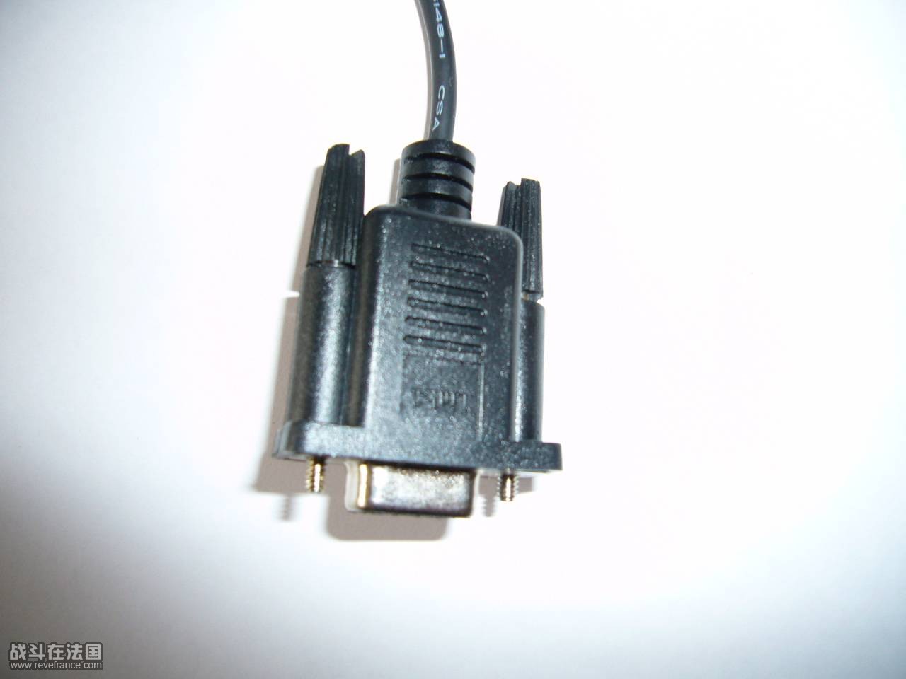 P1020544.JPG