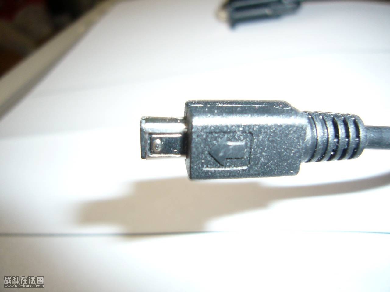 P1020545.JPG