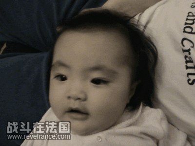 DSC00038g.gif