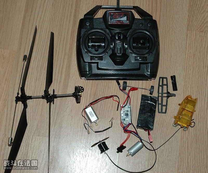 DSC_2595g.jpg
