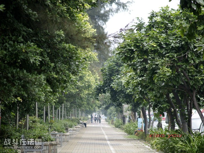 高雄旗津，喜欢在这样的小路上悠闲地骑着脚踏车，吹着海风