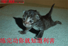 7935936_16640877.gif
