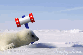 7946533_16640877.gif